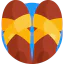 Slippers icon 64x64