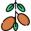 Argan icon 64x64