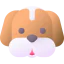 Dog icon 64x64