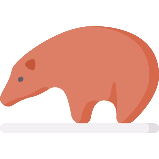 Bear icon
