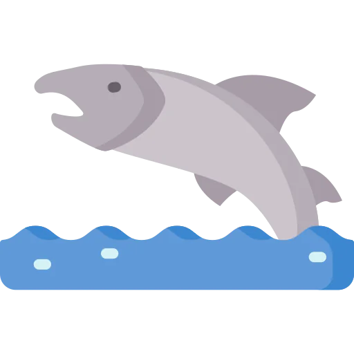 Salmon icon