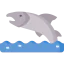 Salmon icon 64x64