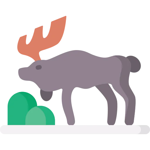 Moose icon