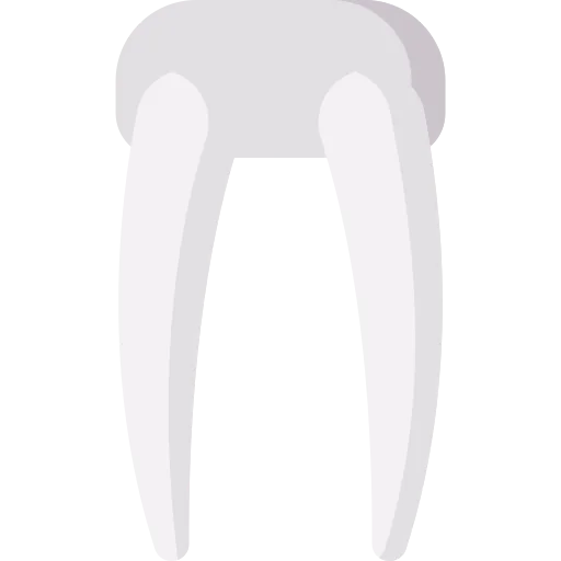 Walrus icon
