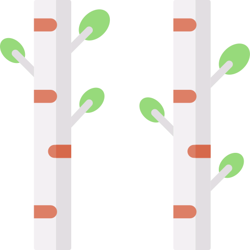 Birch tree icon
