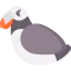 Puffin icon 64x64
