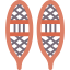 Snowshoes icon 64x64