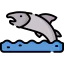 Salmon icon 64x64