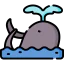 Whale icon 64x64