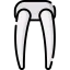 Walrus icon 64x64