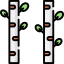 Birch tree アイコン 64x64