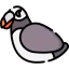 Puffin icon 64x64