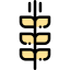 Wheat icon 64x64