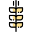 Wheat icon 64x64