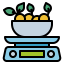 Scale icon 64x64