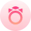Shimekazari icon 64x64