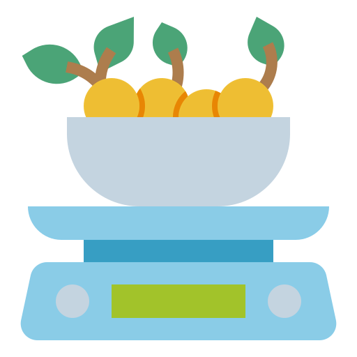 Scale icon