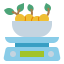 Scale icon 64x64