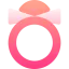Shimekazari icon 64x64