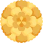 Бархатцы иконка 64x64