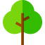 Tree icon 64x64