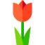 Tulip icon 64x64