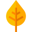 Leaf icon 64x64