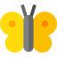 Butterfly icon 64x64