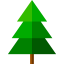 Pine icon 64x64