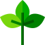 Leaf icon 64x64