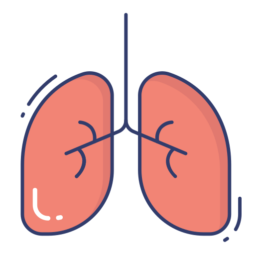Lungs icon