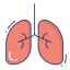 Lungs icon 64x64