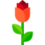 Rose icon 64x64