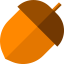 Acorn icon 64x64