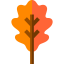 Leaf icon 64x64