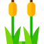 Reed ícono 64x64