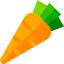 Carrot icon 64x64
