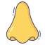 Nose Ikona 64x64