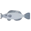 Catfish icon 64x64