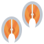 Salmon icon 64x64