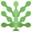 Seaweed icon 64x64