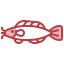 Catfish icon 64x64