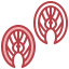 Salmon icon 64x64