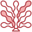 Seaweed icon 64x64