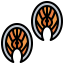 Salmon icon 64x64