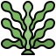 Seaweed icon 64x64