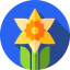 Daffodil icon 64x64