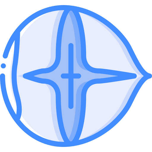 Nuts icon