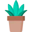 Botanic icon 64x64