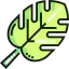 Leaf icon 64x64